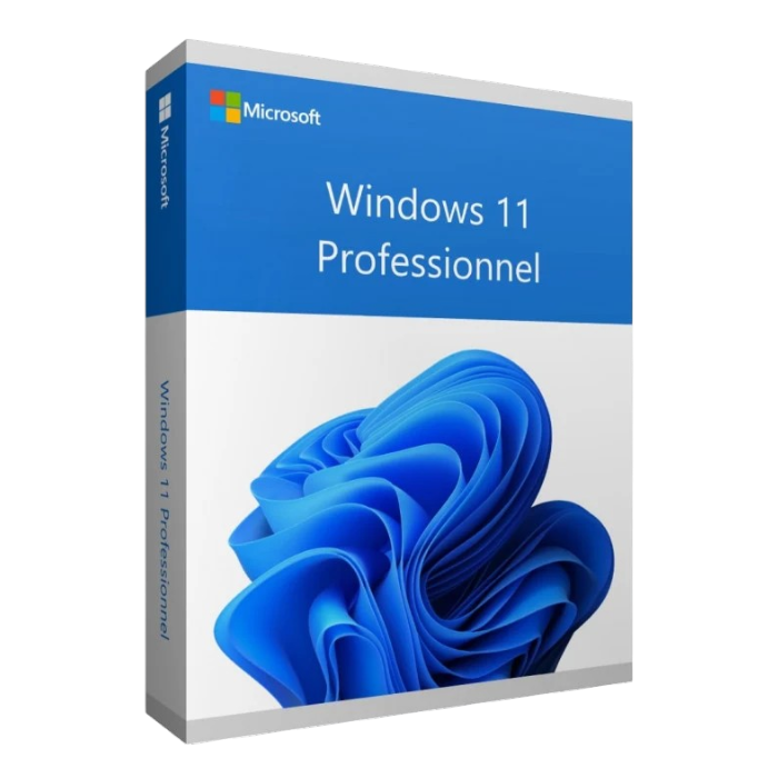 Microsoft Windows 11 - Professionnel